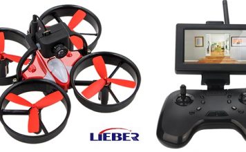 Lieber Birdy 1060 FPV drone under $100