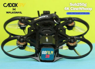 CaddxFPV GoFilm 20